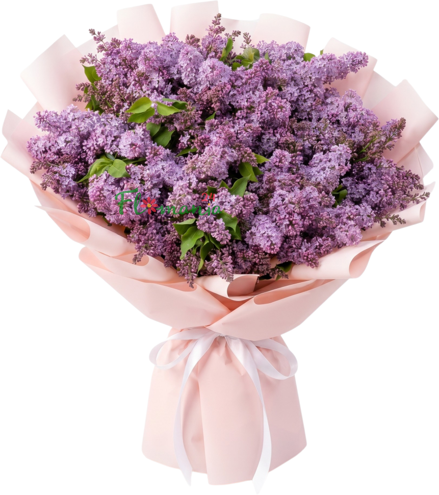 Большой букет сирени «Мелодия весны»